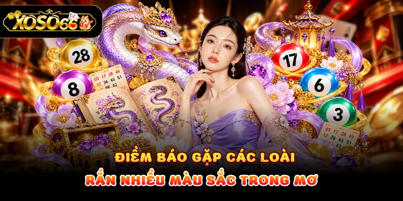 Điềm báo gặp các loài rắn nhiều màu sắc trong mơ