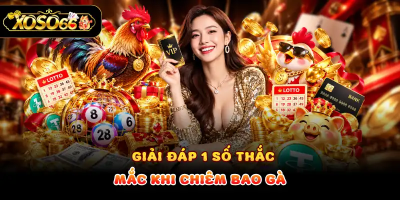 Giải đáp 1 số thắc mắc khi chiêm bao gà