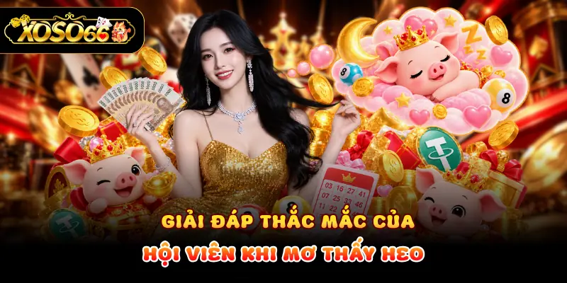 Giải đáp thắc mắc của hội viên khi mơ thấy heo