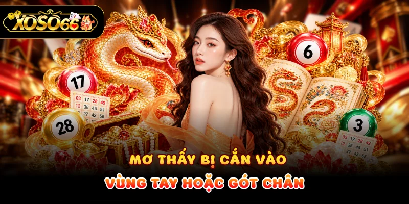 Mơ thấy bị cắn vào vùng tay hoặc gót chân