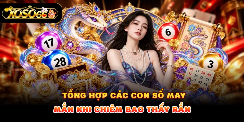 Tổng hợp các con số may mắn khi chiêm bao thấy rắn