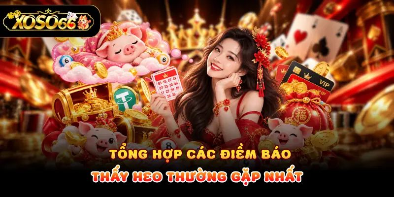 Tổng hợp các điềm báo thấy heo thường gặp nhất